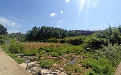 L'Ajuntament vol millorar l'accessibilitat des del Molí d'en Torrella | Pere Gallifa